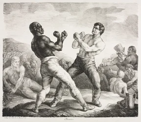 Boxer