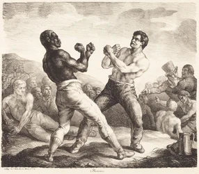 Boxer