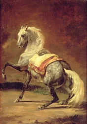 Apfelschimmel
