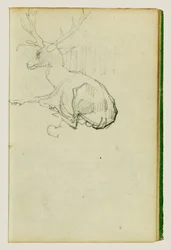 Sitzender Hirsch