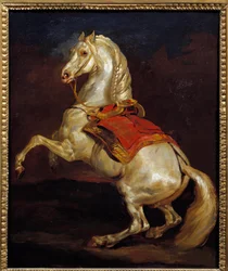 Tamerlan Pferd