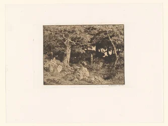 Eichen auf Felsen