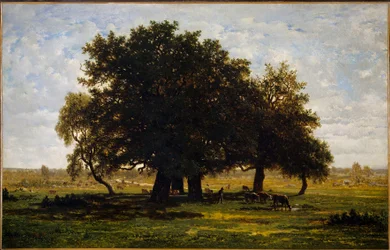 Gruppe von Eichen, Apremont.