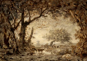 Sonnenuntergang im Wald von Fontainebleau