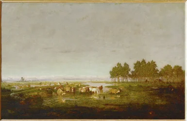 Ein Sumpf in den Landes