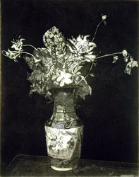 Das Leiden der Blumen