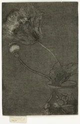 Mohn in einer Vase