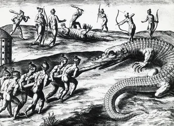 Krokodiljagd in Florida, nach einem Gemälde von Jacques le Moyne de Morgues, graviert von Theodor de Bry