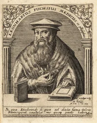 Leonhart Fuchs, deutscher Arzt und Botaniker 1501-1566
