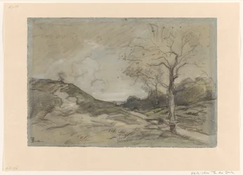 Dünenlandschaft