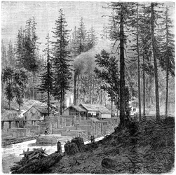 Sägewerk, Kalifornien, 19. Jahrhundert