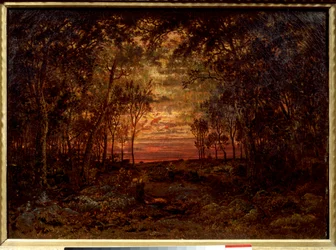 Sonnenuntergang im Wald