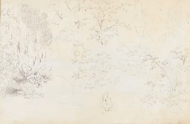Eine Studie in Graphit von der Brücke und den Bäumen von Westen (verso)