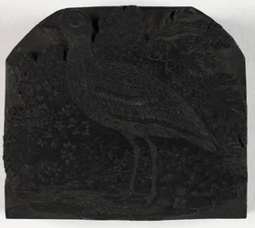 Holzschnitt für Der große Regenpfeifer, aus Eine Geschichte der britischen Vögel