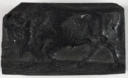 Holzschnitt für Der Urus oder Wildstier, aus Eine allgemeine Geschichte der Vierfüßer