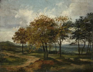 Waldlandschaft