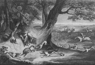 Tod des Fuchses, 1793