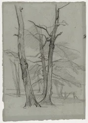 Landschaftsstudie mit Bäumen, um 1870-1875
