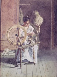 Spinnen, 1881