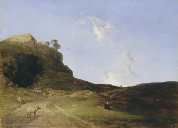 Moorlandschaft