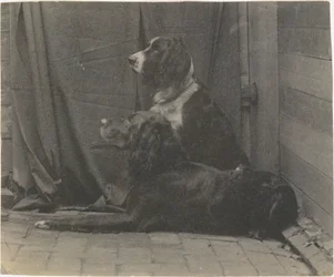 [Thomas Eakins
