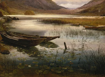 Boote und Seerosen