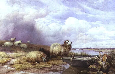 Eine Landschaft mit Schafen und Boot