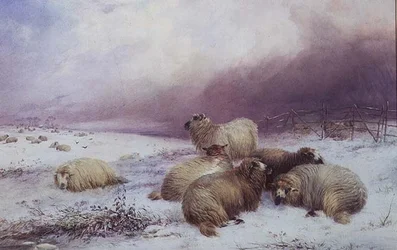 Winterlandschaft mit Schafen