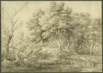 Waldlandschaft mit Bach