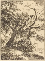 Alter Baum