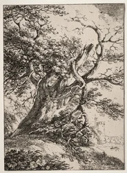 Beispiele der Polyautographie: Landschaft mit einer Eiche