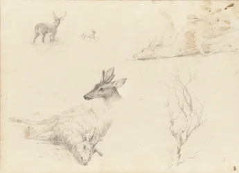 Skizzenbuch mit Landschafts- und Tiermotiven