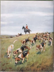 Fuchsjagd, Illustration aus „Hounds“