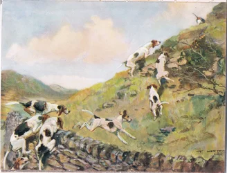 Über die Mauer klettern, Illustration aus 