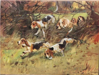 Durch die Hecke, Illustration aus Hounds