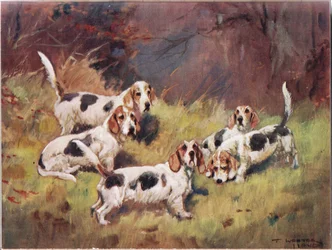 Warten, Illustration aus „Hounds“