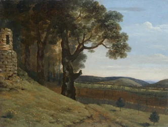 Feld bei Pencerrig
