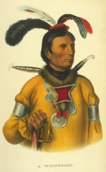 Ein Winnebago, 1854