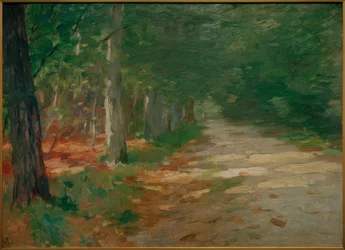 Waldweg mit Sonnenflecken