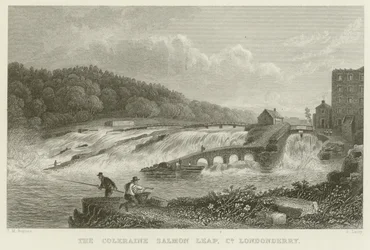 Der Lachsprung von Coleraine