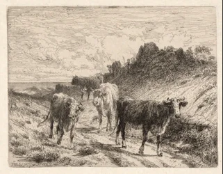 Kühe