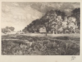Landschaft von Long Island