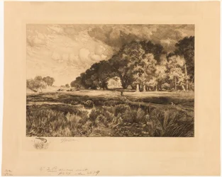 Landschaft von Long Island