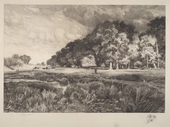 Landschaft auf Long Island