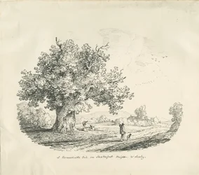 Arley - Shatterfort Höhe