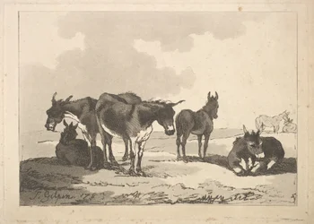 Eine Gruppe von fünf Eseln, drei stehend, zwei liegend, 1783-87