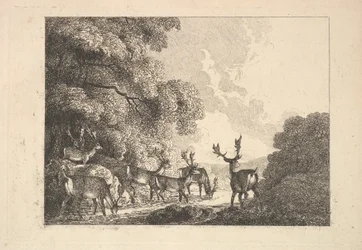 Eine Gruppe von Hirschen beim Trinken, 1784-88