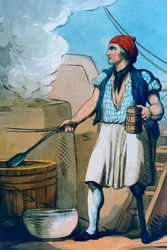 Koch, 1799