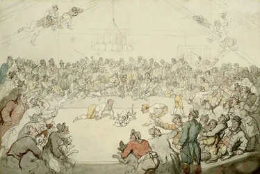 Der Westminster Pitt, 1798