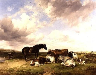Sommerschauer